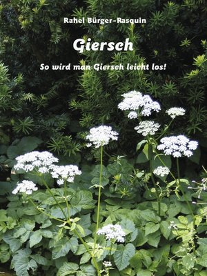 cover image of Giersch